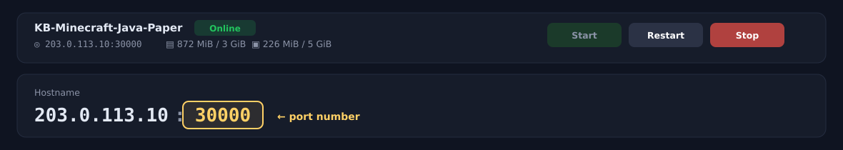 The connection address at the top of the game panel. Copy it including the port number. The numbers shown are an example.